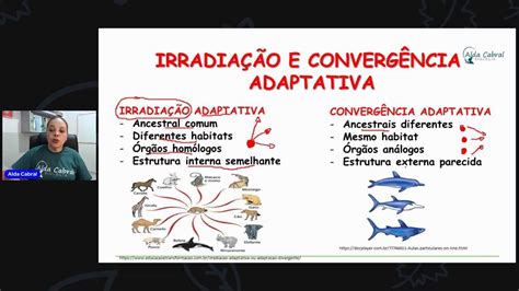 convergencia adaptativa-4